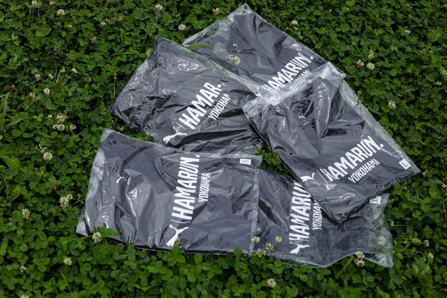 浜ランのランニング活動写真 横浜みなとみらい 1